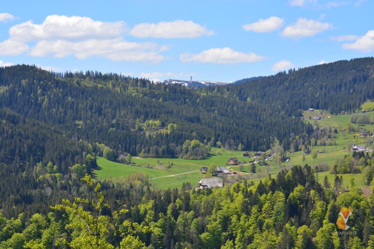 Blackfoxrest Ferienwohnung Feldberg  Luaran gambar