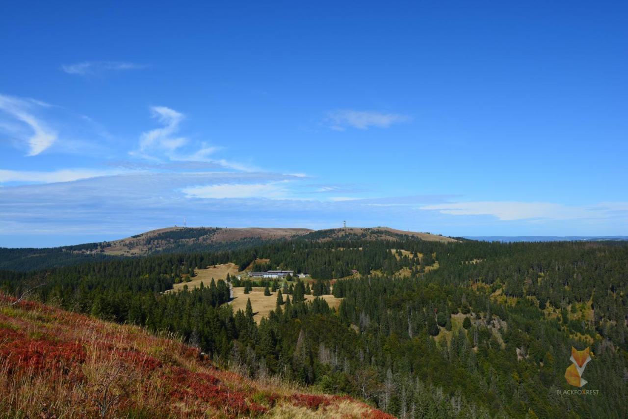 Blackfoxrest Ferienwohnung Feldberg  Luaran gambar