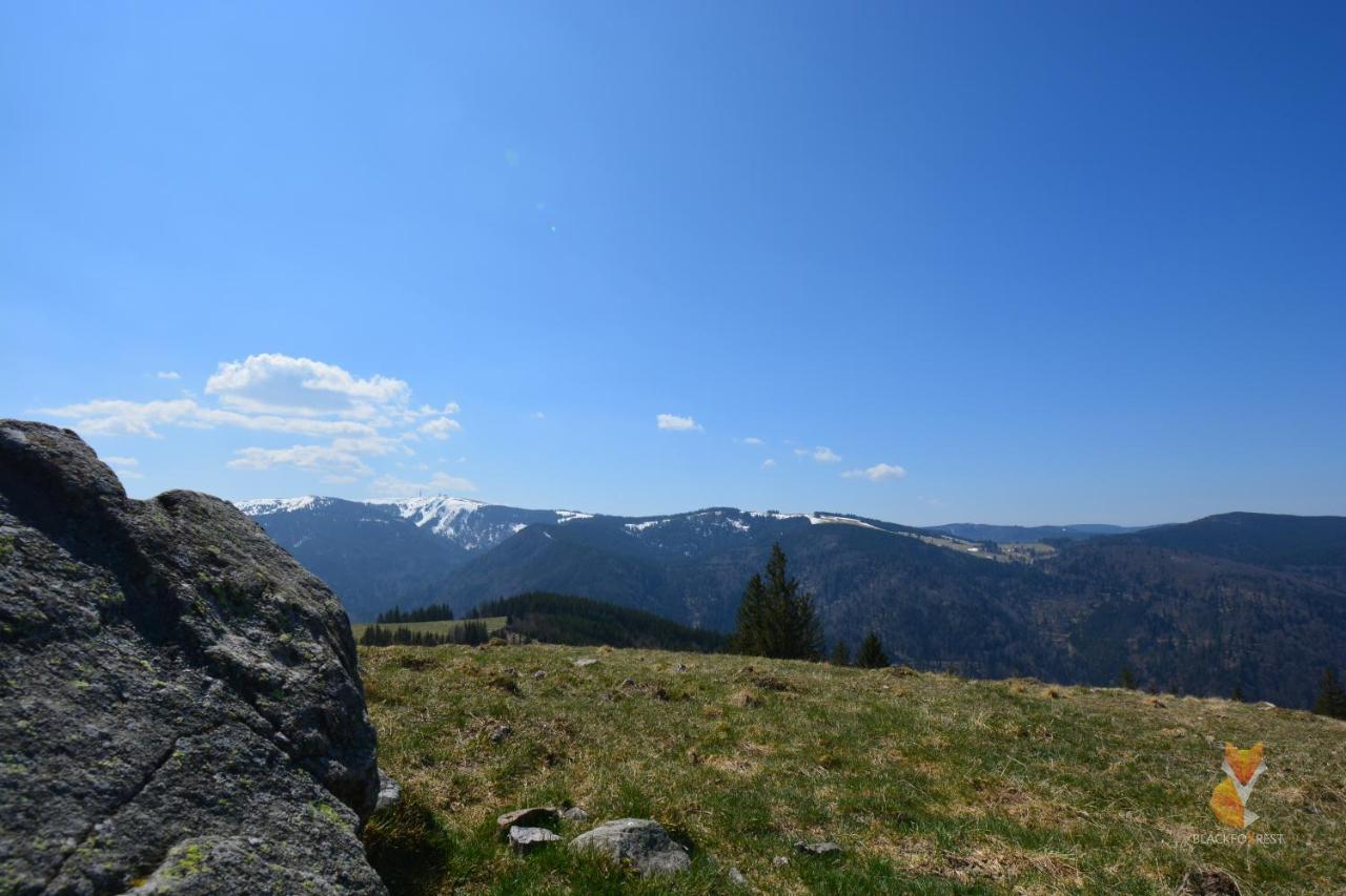 Blackfoxrest Ferienwohnung Feldberg  Luaran gambar