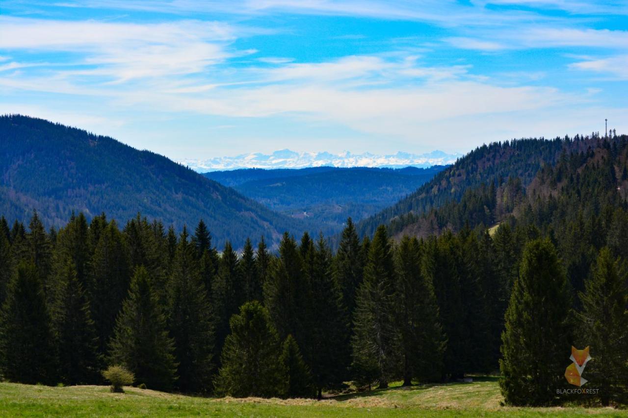 Blackfoxrest Ferienwohnung Feldberg  Luaran gambar