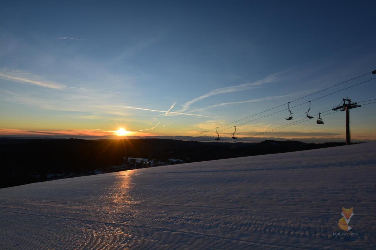 Blackfoxrest Ferienwohnung Feldberg  Luaran gambar