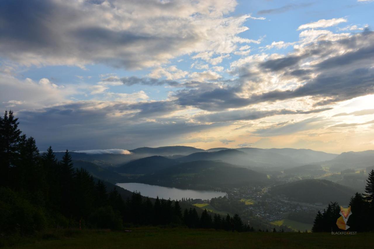 Blackfoxrest Ferienwohnung Feldberg  Luaran gambar