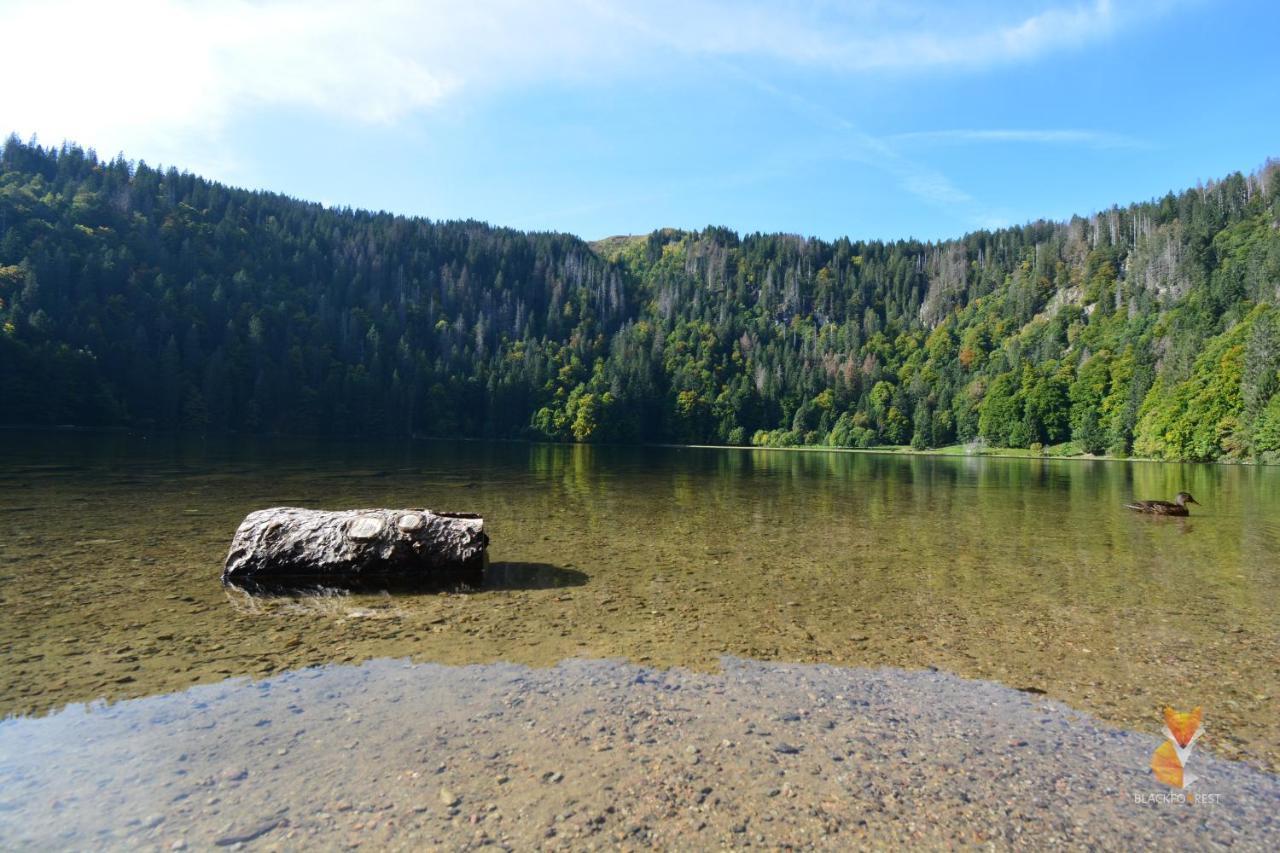 Blackfoxrest Ferienwohnung Feldberg  Luaran gambar