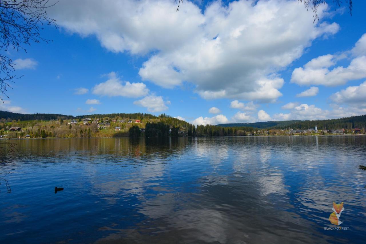 Blackfoxrest Ferienwohnung Feldberg  Luaran gambar