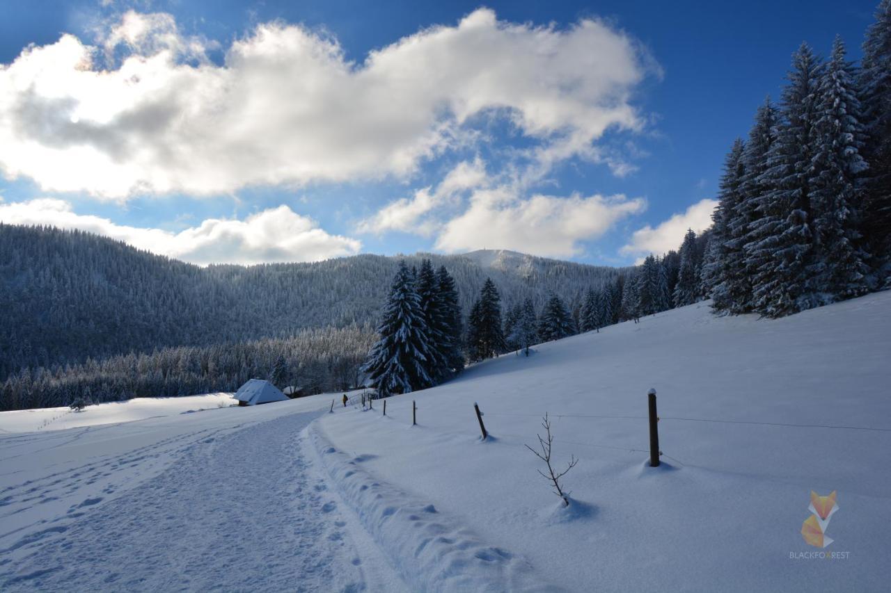 Blackfoxrest Ferienwohnung Feldberg  Luaran gambar